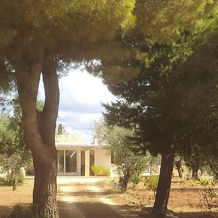 Trullo Contrada Specchi Leilighet Racale Eksteriør bilde