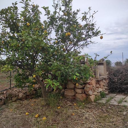 Trullo Contrada Specchi Leilighet Racale Eksteriør bilde