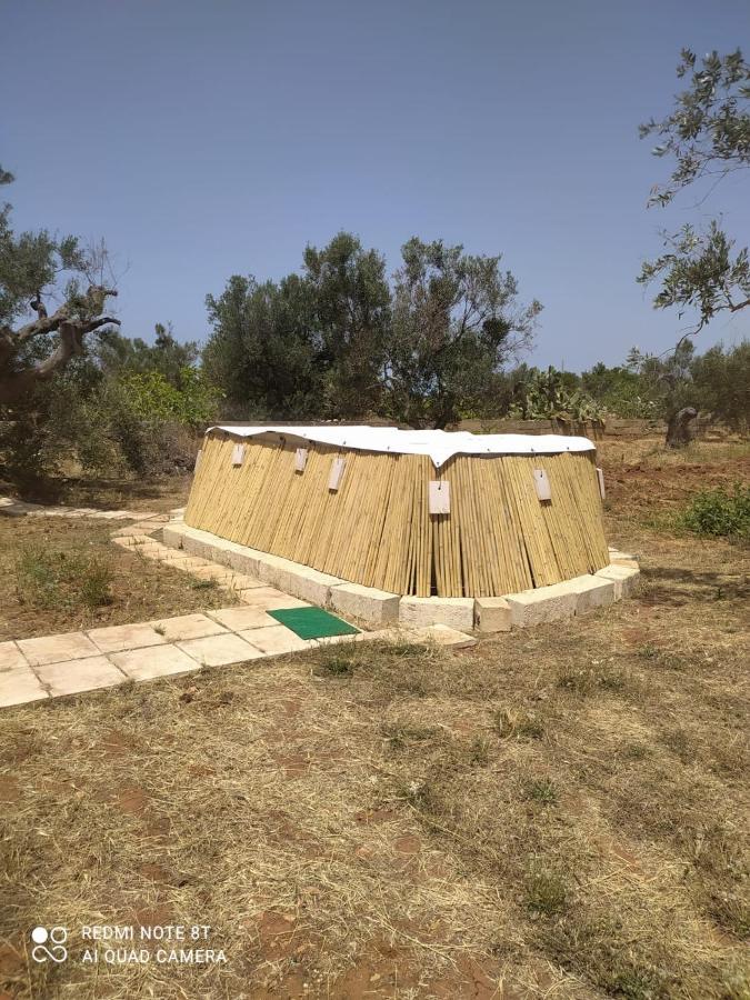 Trullo Contrada Specchi Leilighet Racale Eksteriør bilde