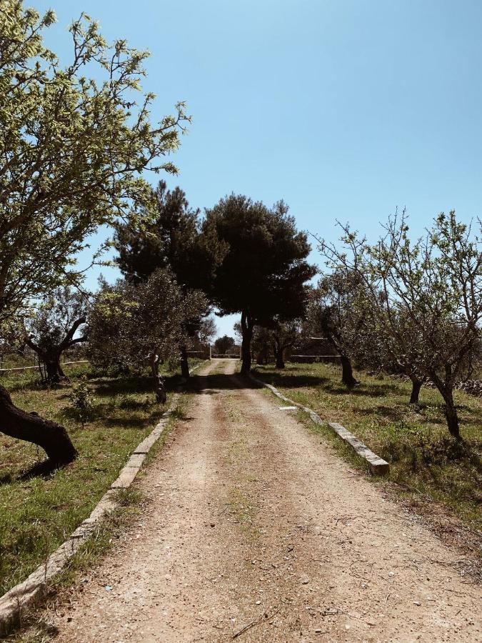 Trullo Contrada Specchi Leilighet Racale Eksteriør bilde