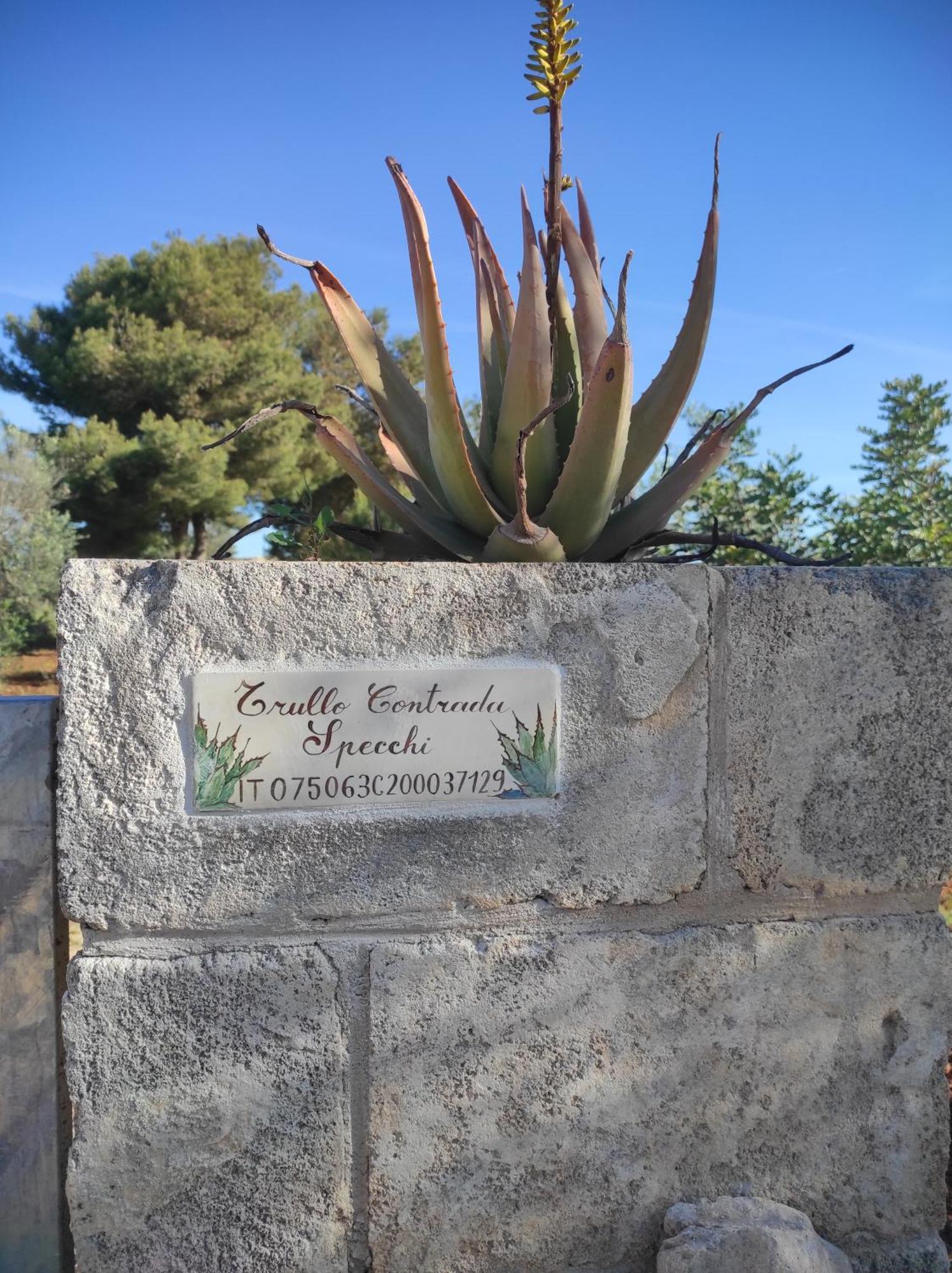 Trullo Contrada Specchi Leilighet Racale Eksteriør bilde